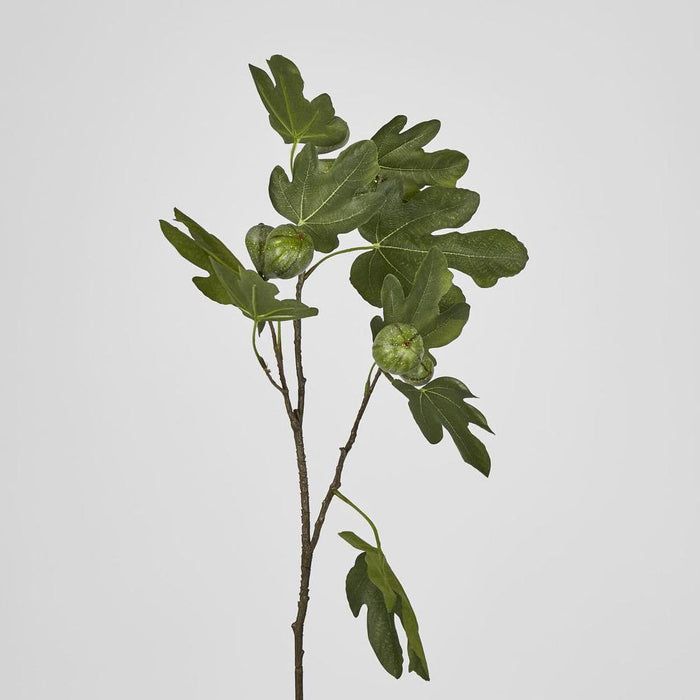 Fig Stem with Fruits 81cm Green Pack of 12