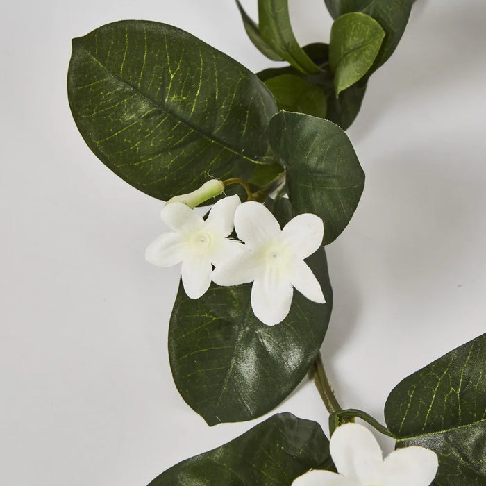 Stephanotis Garland White 182cm – Pack Of 12