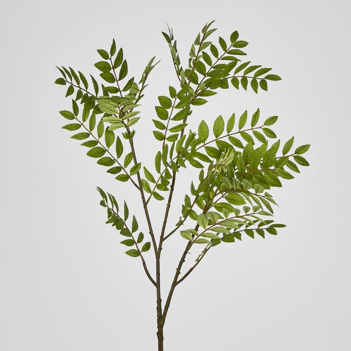 Sorbus Leaf Spray 108cm Green Pack of 12