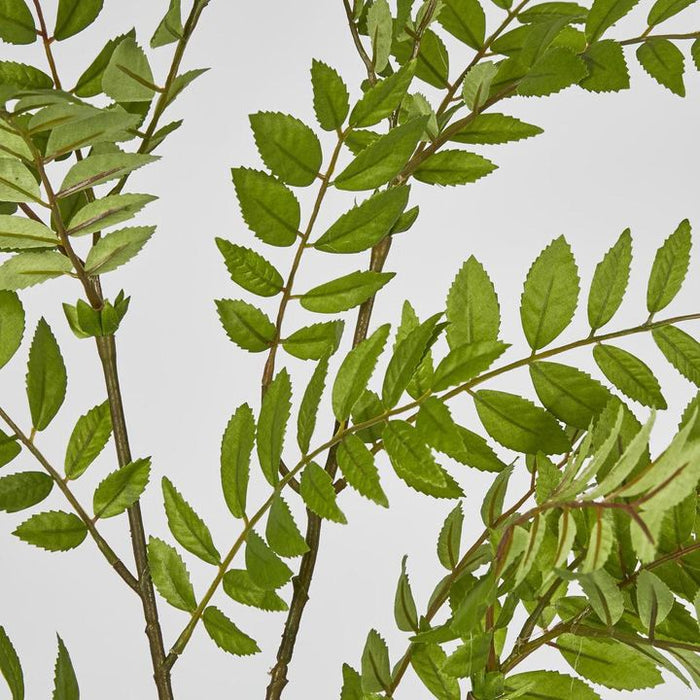 Sorbus Leaf Spray 108cm Green Pack of 12