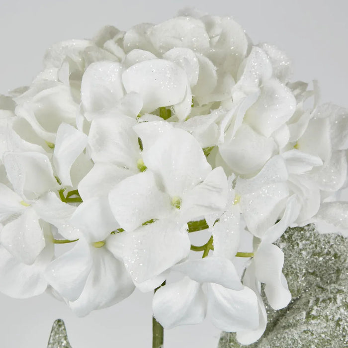 Snow Covered White Christmas Hydrangea  68.5cm – Pack of 12