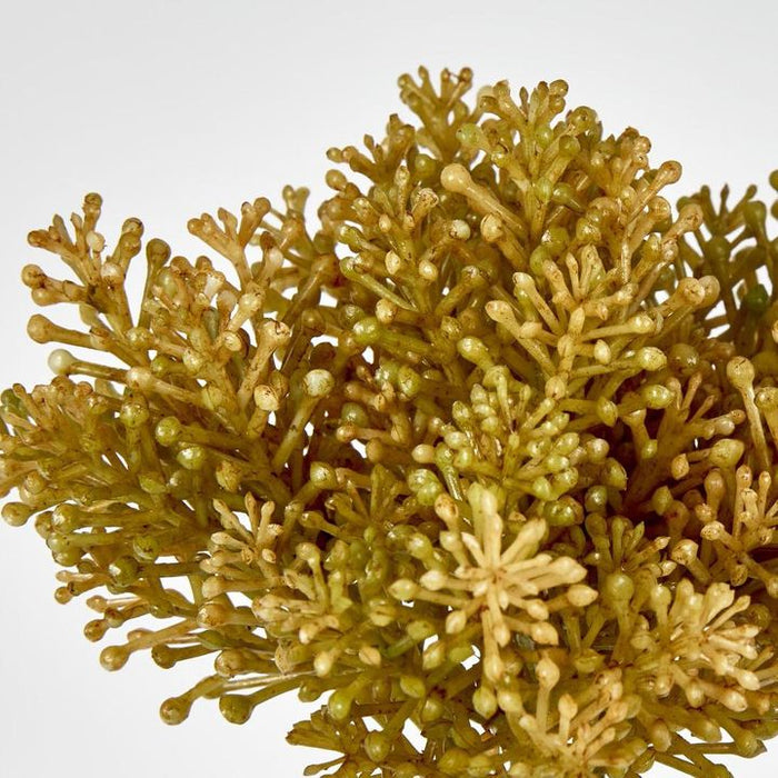 Pine Berry 20cm Green Yellow Pack of 36