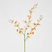 Lilly Dancing Orchid
98cm Cream - Pack of 12