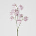 Jane Sweet Pea 60cm White & Purple - Pack of 12