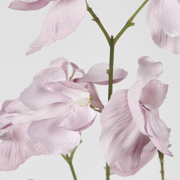 Jane Sweet Pea 60cm White & Purple - Pack of 12