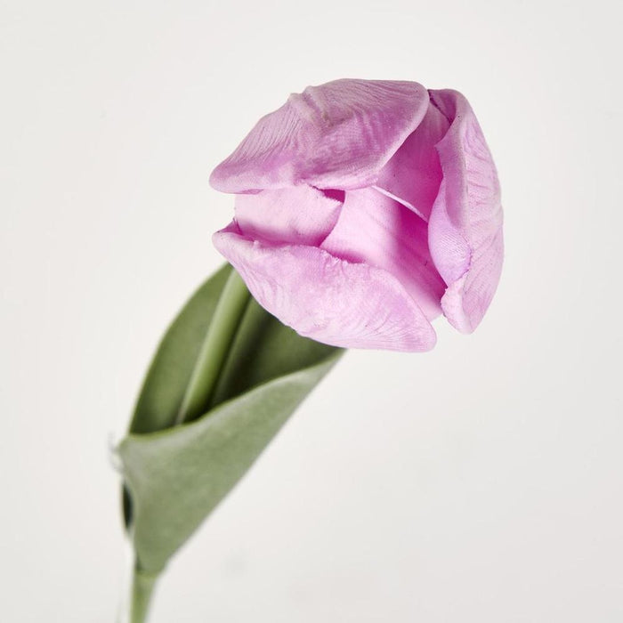 Liv Soft Touch Tulip Purple 45cm - Pack of 60