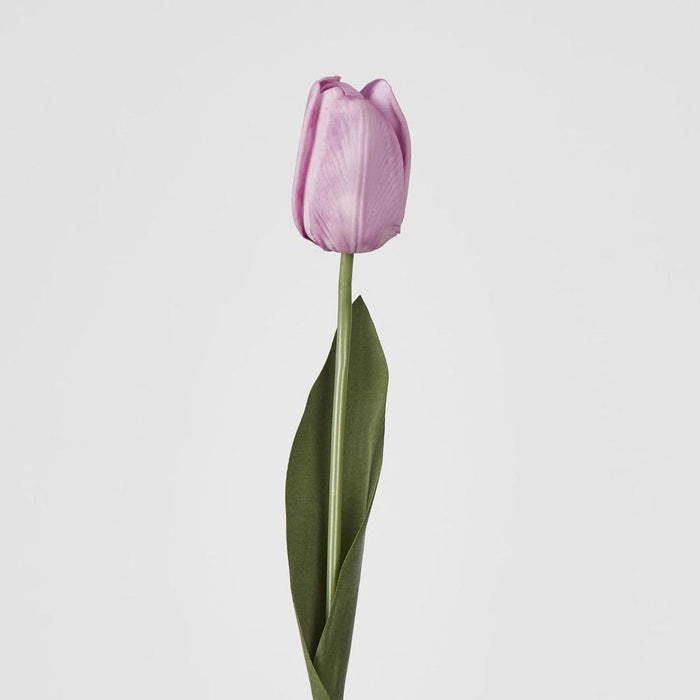 Liv Soft Touch Tulip Purple 45cm - Pack of 60