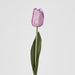 Liv Soft Touch Tulip Purple 45cm - Pack of 60