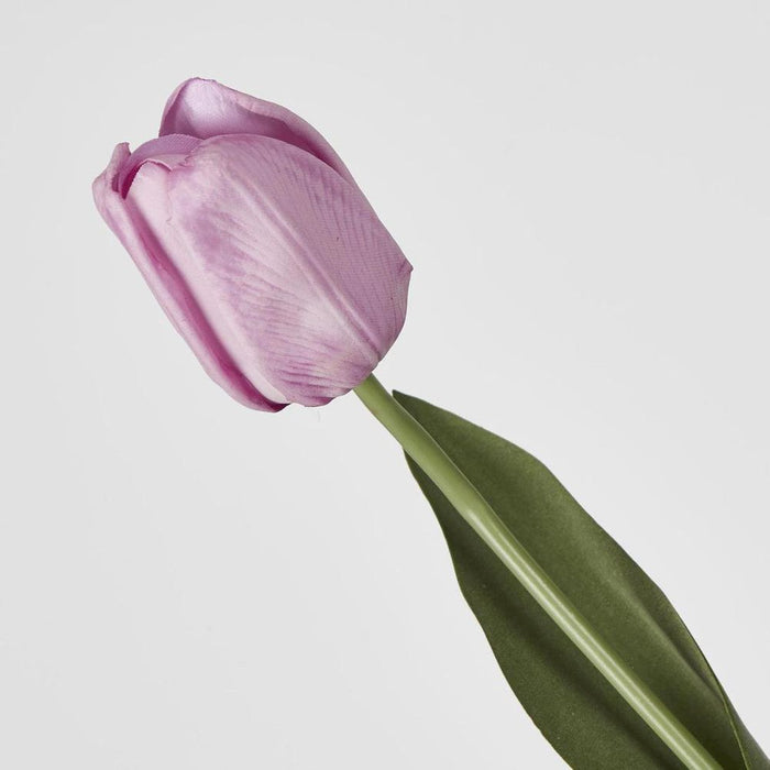 Liv Soft Touch Tulip Purple 45cm - Pack of 60