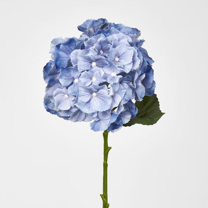 Susan Hydrangea Soft Touch Blue
52cm - Pack of 12