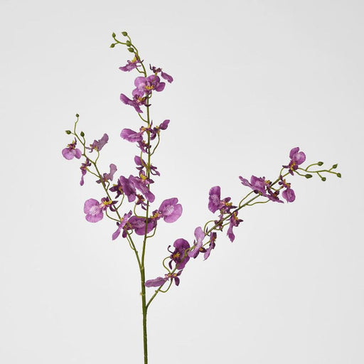 Lilly Dancing Orchid 98cm Pink - Pack of 12