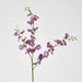 Lilly Dancing Orchid 98cm Pink - Pack of 12