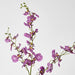 Lilly Dancing Orchid 98cm Pink - Pack of 12