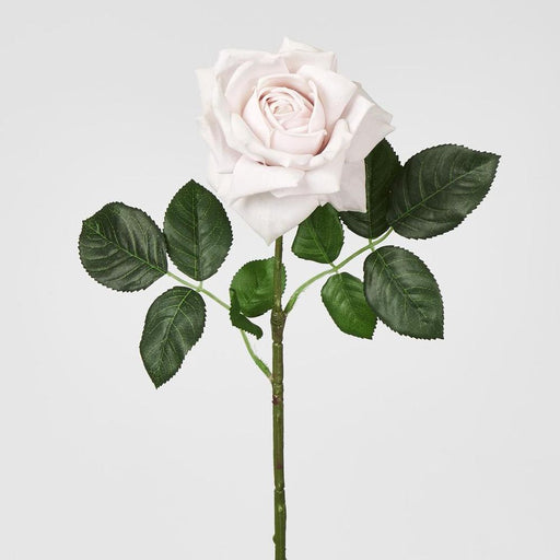 Walter Real Touch Rose Stem Soft Pink 61cm Light Pink - Pack of 24