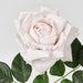Walter Real Touch Rose Stem Soft Pink 61cm Light Pink - Pack of 24