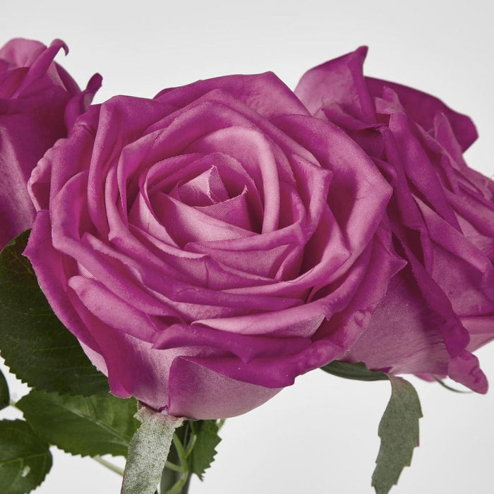 Willow Rose Bunch 29cm Dark Pink - Pack of 12