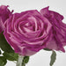 Willow Rose Bunch 29cm Dark Pink - Pack of 12