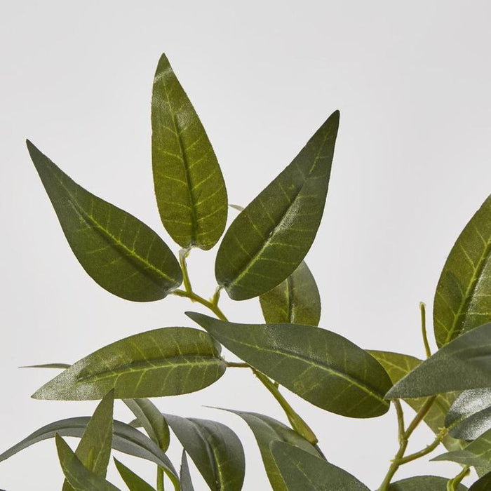 Green Ruscus Leaf Garland 182cm - Pack of 4