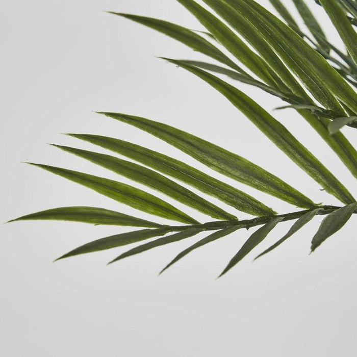 Zebra Palm Leaf Bush Green 30cm – Pack of 6