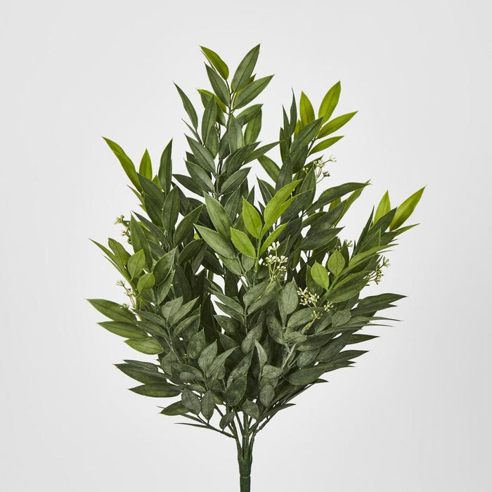 Ruscus Bush Green 25cm – Pack Of 12