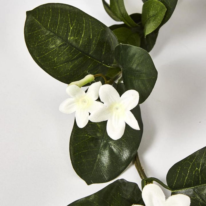 Stephanotis Garland White 182cm – Pack Of 12