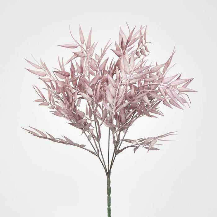 Bamboo Leaf Bush 70cm Purple Pack of 24