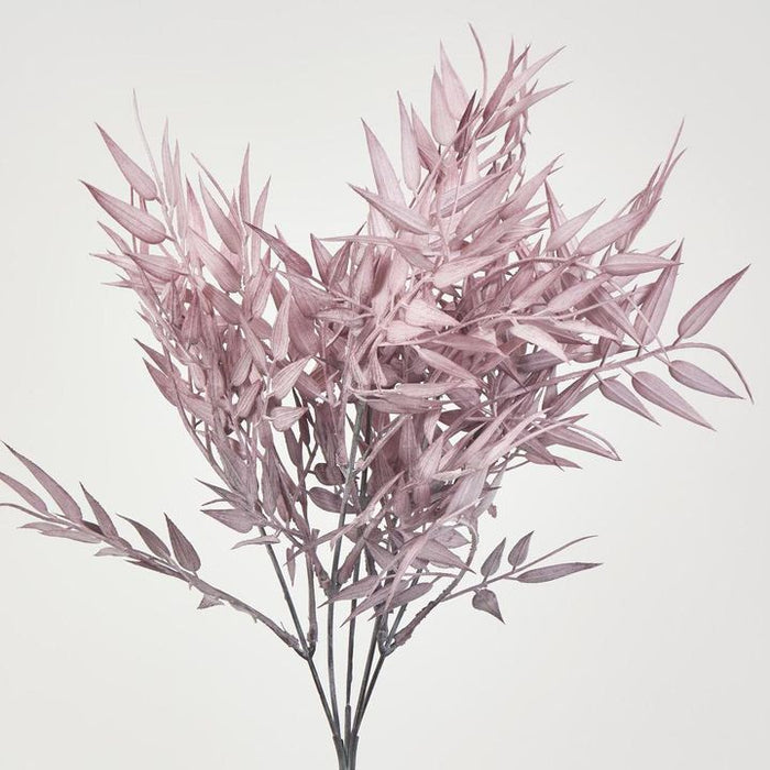 Bamboo Leaf Bush 70cm Purple Pack of 24