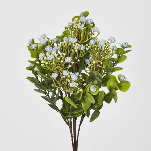 Flowering Bush Blue 25cm - Pack of 12