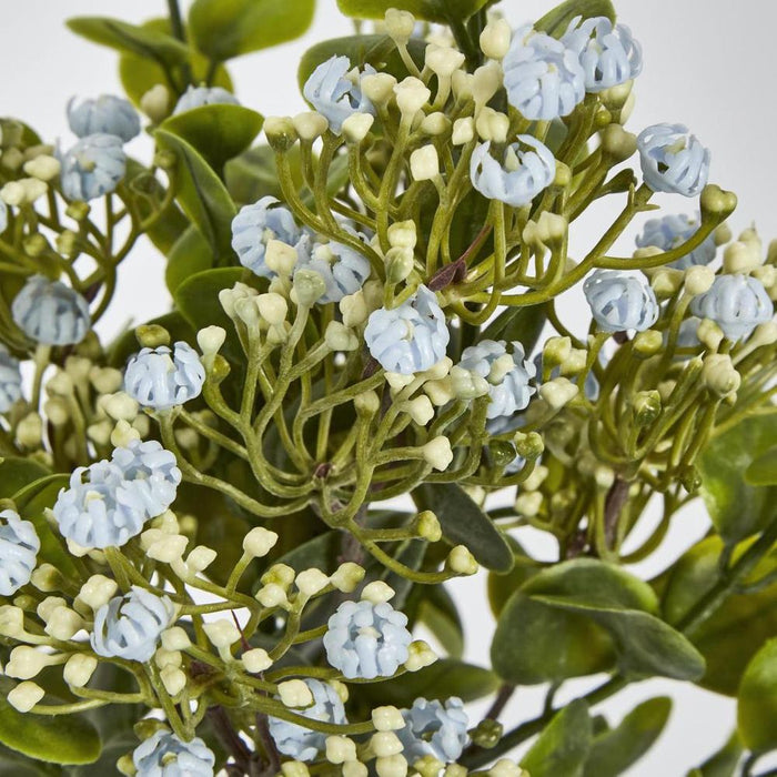 Flowering Bush Blue 25cm - Pack of 12