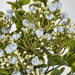 Flowering Bush Blue 25cm - Pack of 12