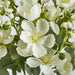 Blossom Spray White 35cm - Pack of 12