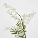 Australian Wattle 85cm White - Pack of 12