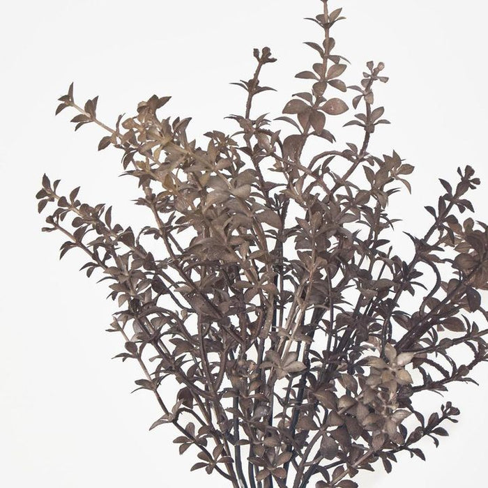 Wild Ruscus Bush Brown 70cm Pack of 24