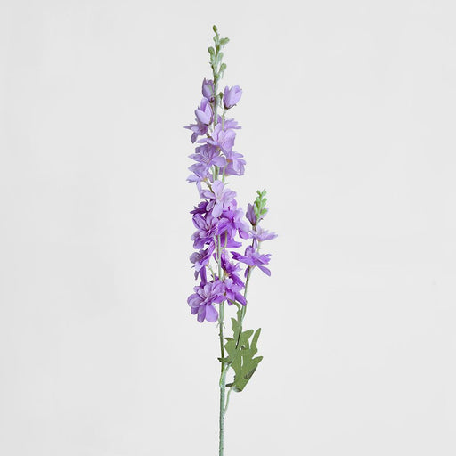Delphinium 85cm Light Purple - Pack of 12