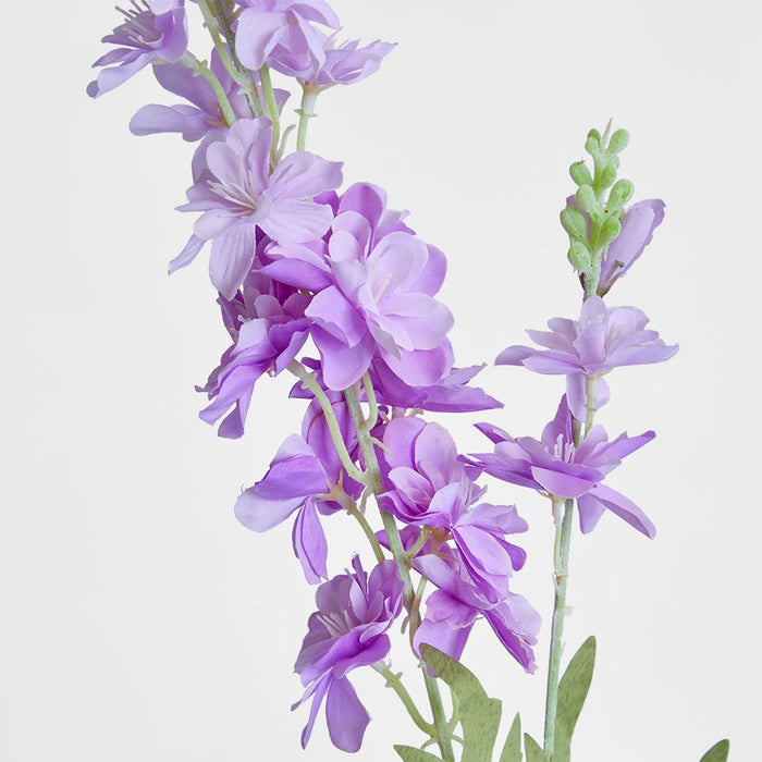 Delphinium 85cm Light Purple - Pack of 12