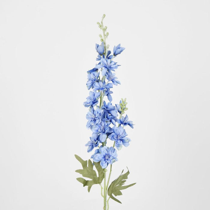 Delphinium 85cm Blue - Pack of 12
