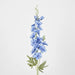 Delphinium 85cm Blue - Pack of 12