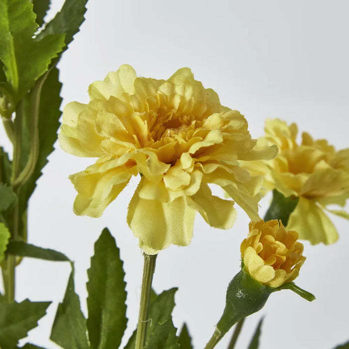 Yellow Marigold Spray – Pack of 24