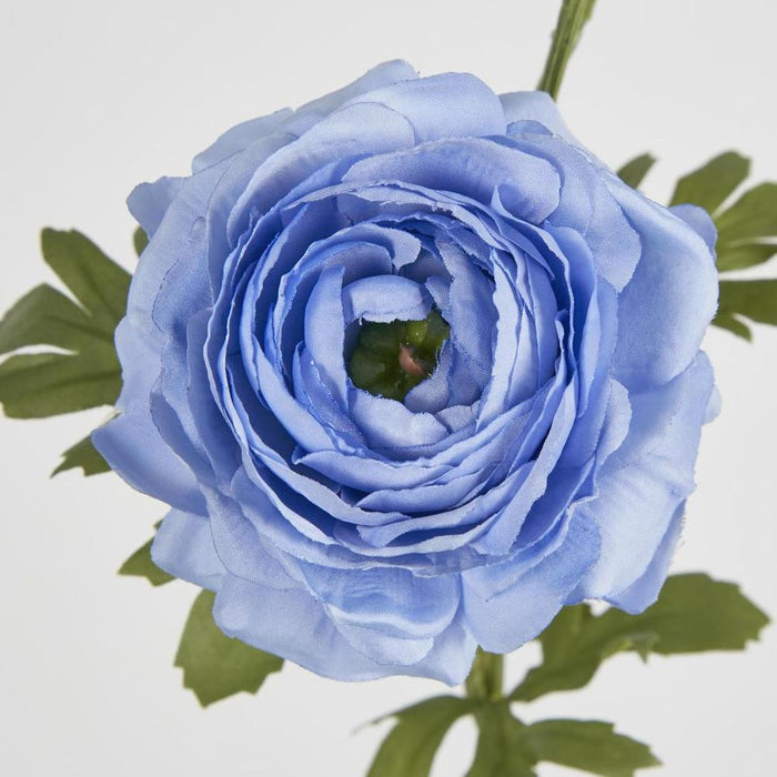 Ranunculus Spray x 3 Blue 72cm - Pack of 12