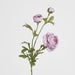 Ranunculus Spray x 3 Purple 72cm - Pack of 12