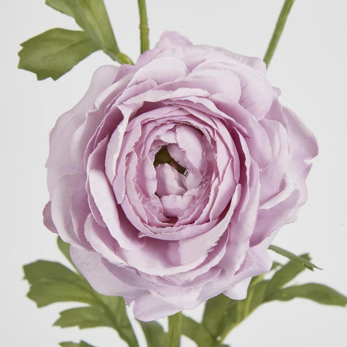Ranunculus Spray x 3 Purple 72cm - Pack of 12