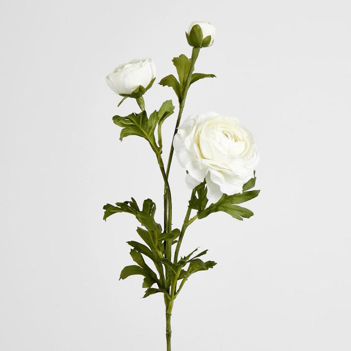 Ranunculus Spray x 3 White 72cm - Pack of 12