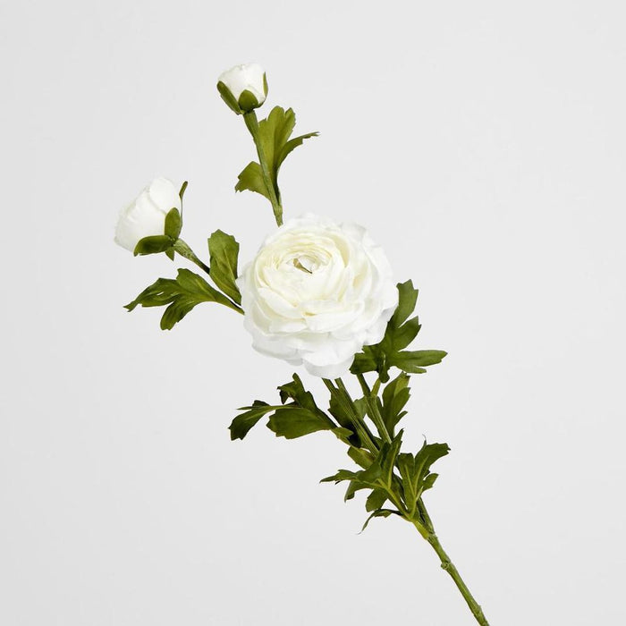 Ranunculus Spray x 3 White 72cm - Pack of 12