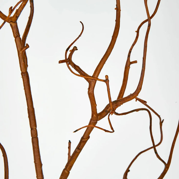 Coated Twig Branches 104cm Brown – Pack of 24