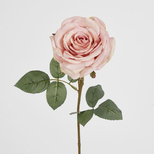 Dusty Pink Rose 63cm Light Pink - Pack of 12