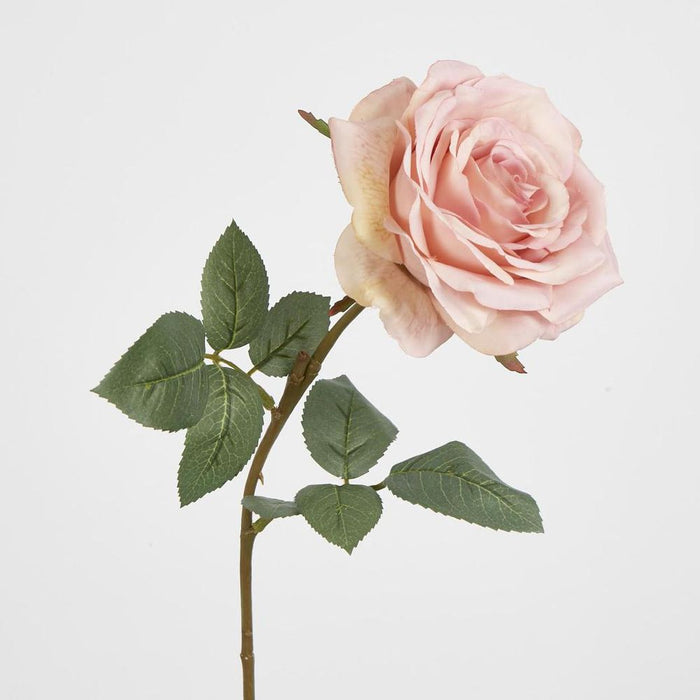 Dusty Pink Rose 63cm Light Pink - Pack of 12