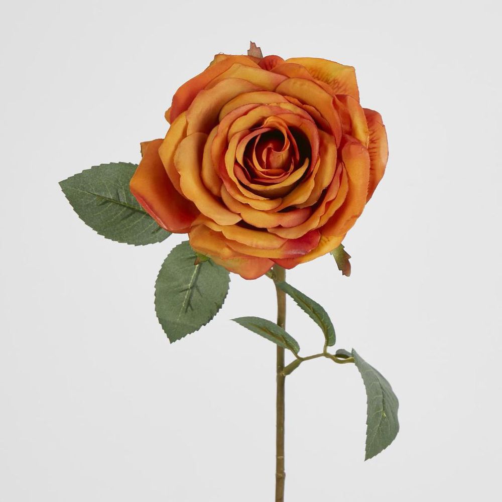Buy Yellow Gold Rose 63cm - Pack of 12 | Premium Evergreen Decor ...