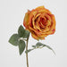 Yellow Gold Rose 63cm - Pack of 12