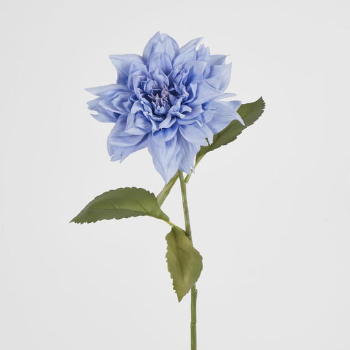 Dahlia 62cm Blue - Pack of 12