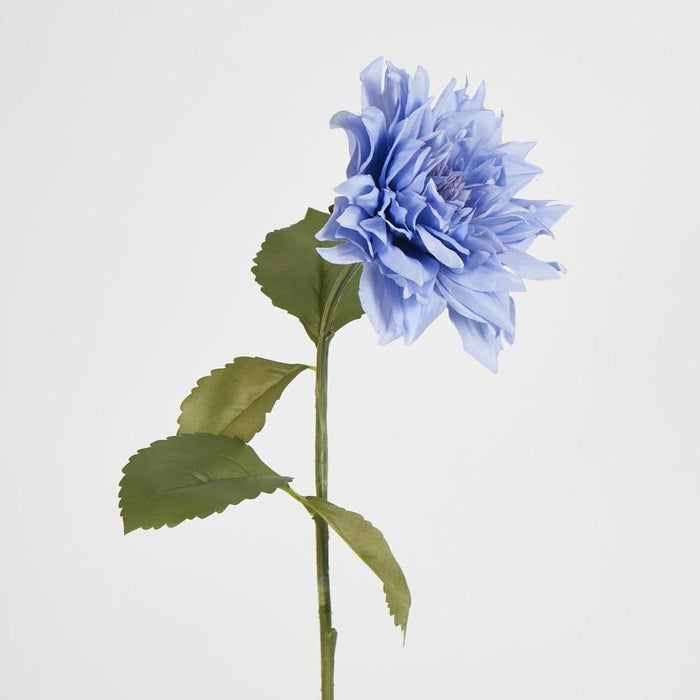 Dahlia 62cm Blue - Pack of 12